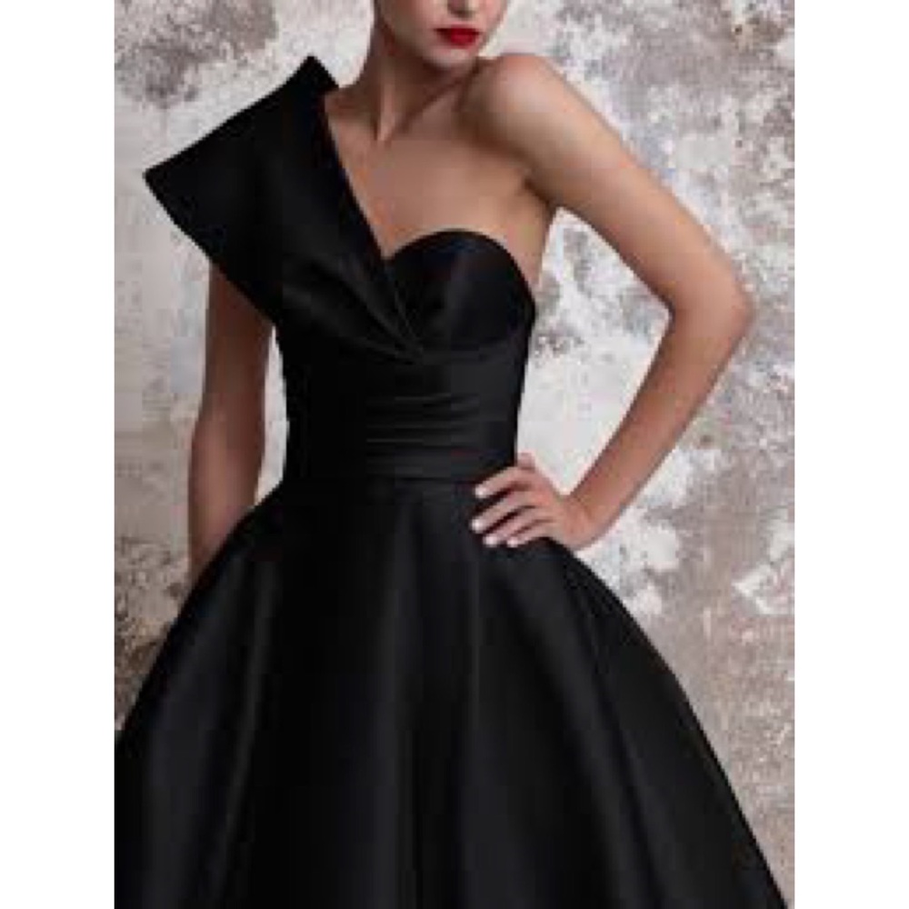 Pronovias NYC TOURMALINE Black Silk Gown Turmaline Spanish Ball Wedding Dress - Picture 3 of 13